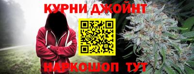 прущие грибы Кандалакша
