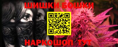 прущие грибы Кандалакша