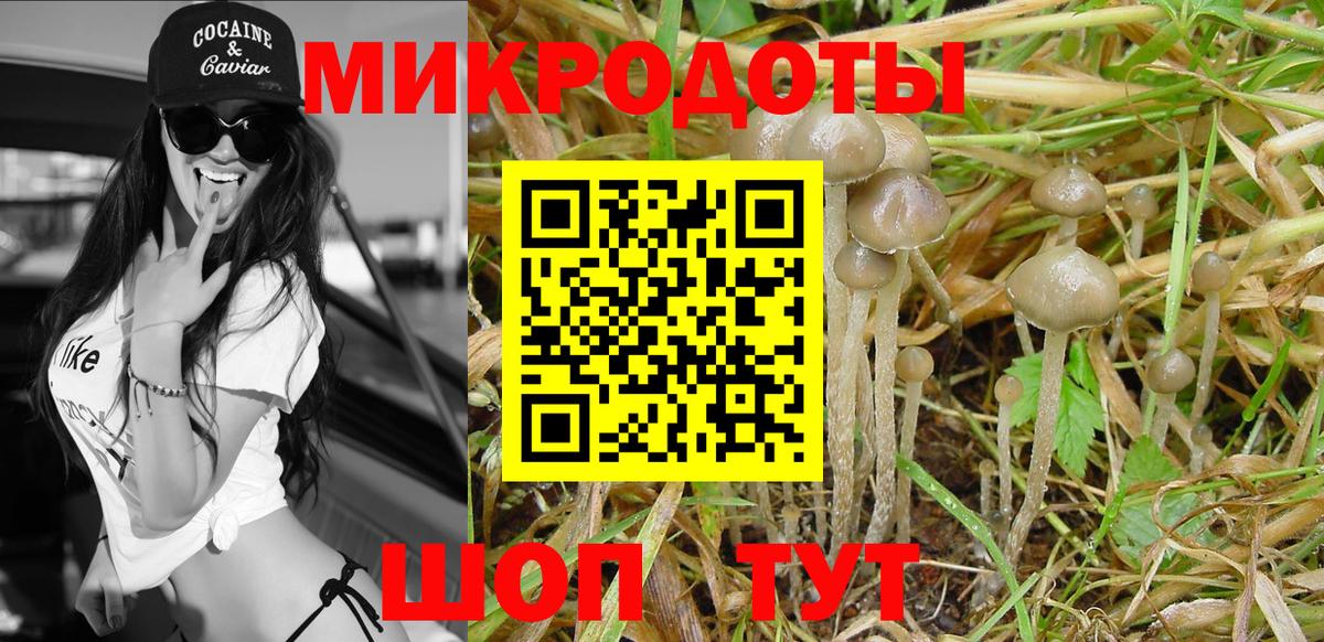 Видное  Псилоцибиновые грибы прущие грибы  где купить наркоту  Вход с VPN 
